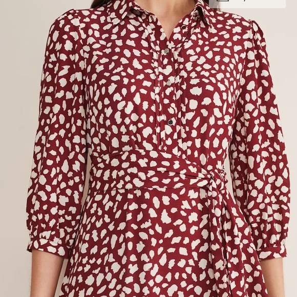 Este Polka Dot Shirt Midi Dress - Picture 5 of 10